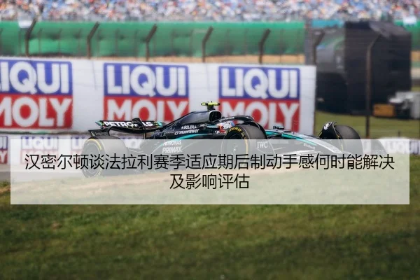 han-mi-er-dun-tan-fa-la-li-sai-ji-shi-ying-qi-hou-zhi-dong-shou-gan-he-shi-neng-jie-jue-ji-ying-xiang-ping-gu-2-204.jpg